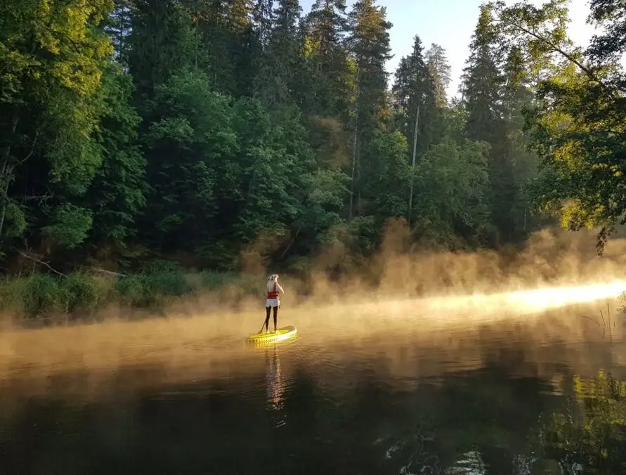 SUP brauciens rīta miglā Salacas upē pie kempinga LIČU SKOLA